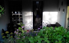 Apartment Poropat